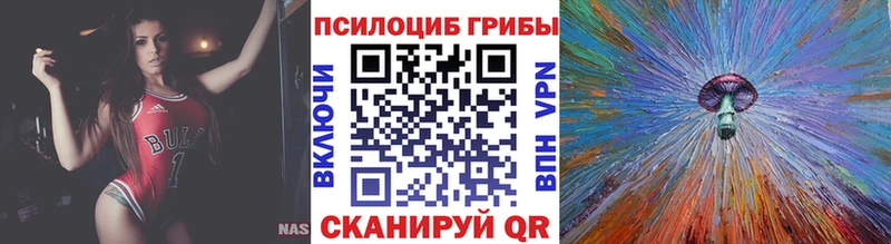 Галлюциногенные грибы мицелий  Купить где  Кингисепп 